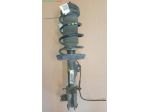 AMMORTIZZATORE ANT.S. 1.3 MTJ  Meccanica  Assale  Sospensioni  Ammortizzato &hellip;