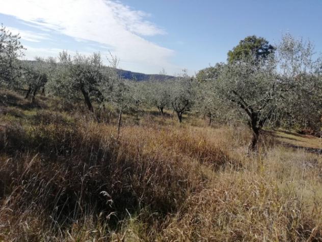 Rustico / Casale di 268 m² con più di 5 locali in vendita a Val Liona - Foto 7