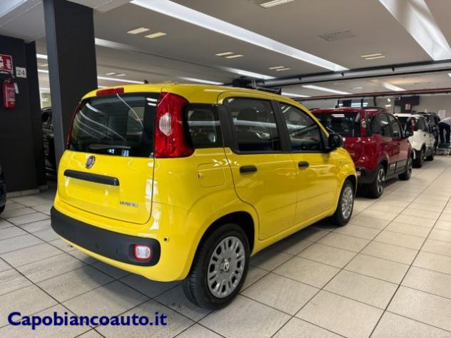 FIAT Panda 1.0 FireFly S&S Hybrid POP KM0 PROMO rif. 23776901 - Foto 7
