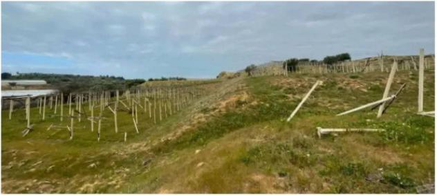 Immobile in asta di 26890 m² in vendita a Acate - Foto 3