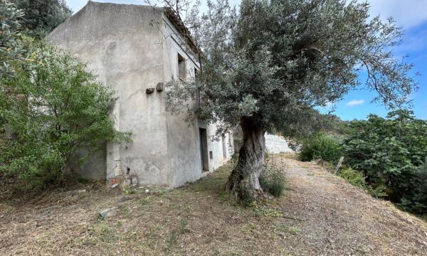 CASALE CON TERRENO IN CAMPAGNA - Foto 3