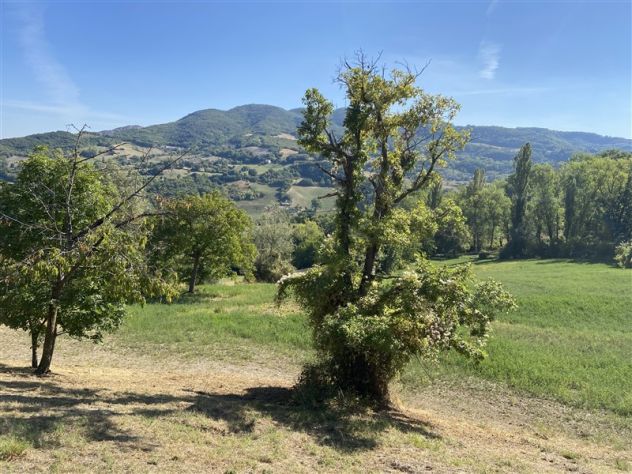 Rustico indipendente con fienile/stalla e giardino - Foto 5