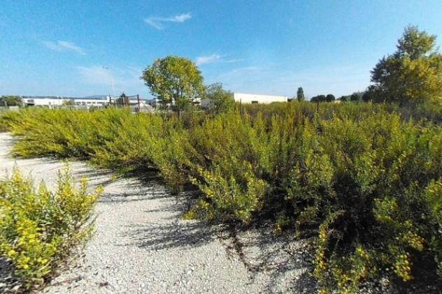 Immobile in asta di 5280 m² in vendita a Recanati - Foto 8