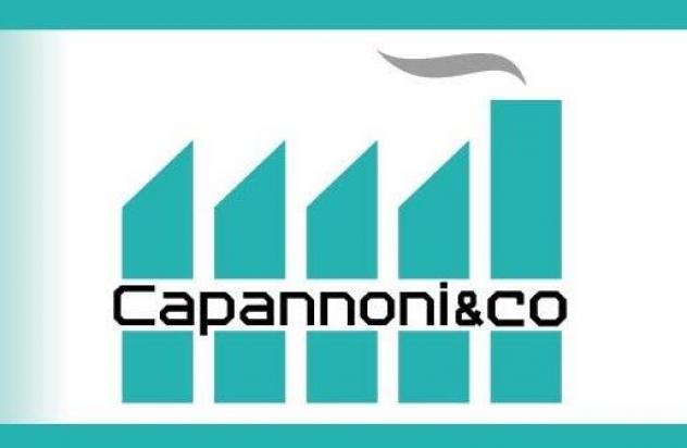 Capannone artigianale in affitto a Casciana Terme Lari 900 mq Rif: 1391853 - Foto 4