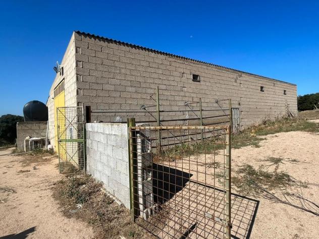 Annesso agricolo in vendita a Luogosanto 22800 mq Rif: 1348054 - Foto 10