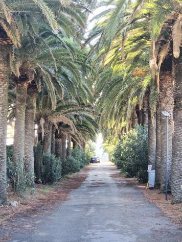 Appartamento in Via Aurelia - Foto 2