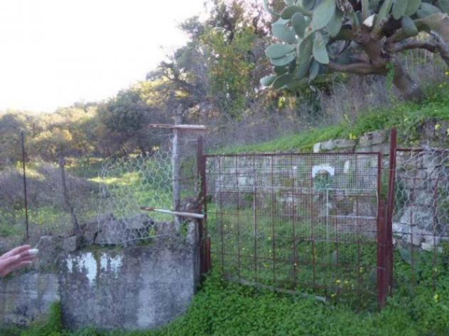Immobile in asta di 6430 m² in vendita a Casignana - Foto 17