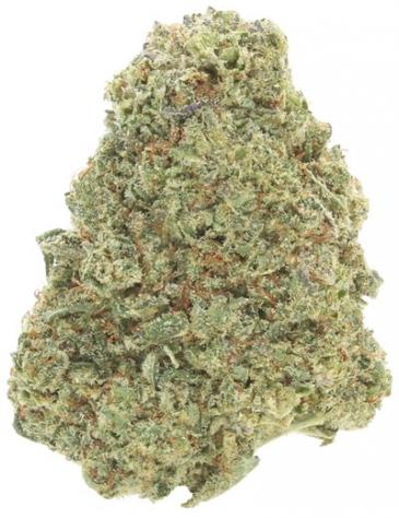 Gorilla Glue