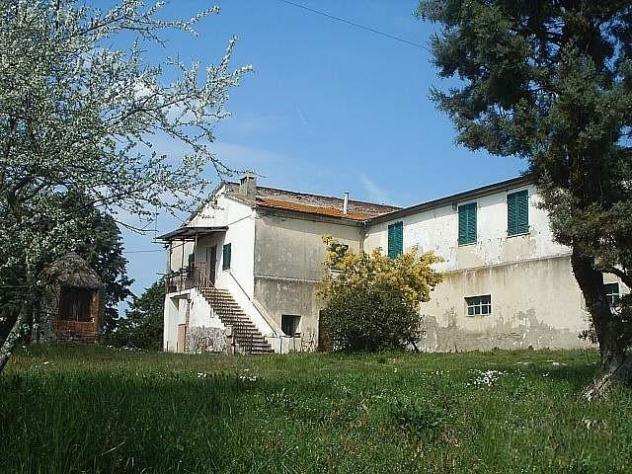 Rustico in vendita a Volterra 1650 mq Rif: 45983 - Foto 4