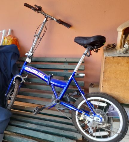 Bicicletta pieghevole