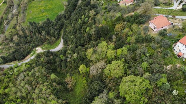 Villa in Contrada Selvatine Villaggio Santoro - Foto 9
