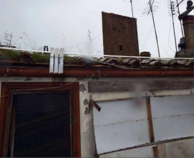 Immobile in asta di 105 m², box auto in vendita a Sutri - Foto 19