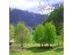 B&B Piana di Nebbiu'