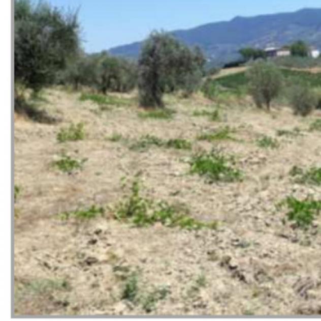 Immobile in asta di 38 m² in vendita a Vinci - Foto 3