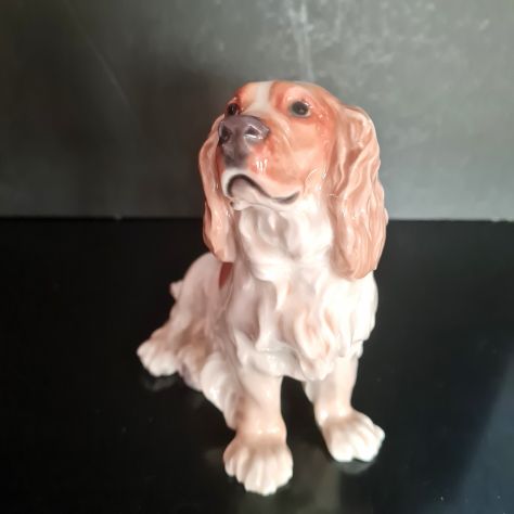 Cane porcellana di Meissen - Foto 6