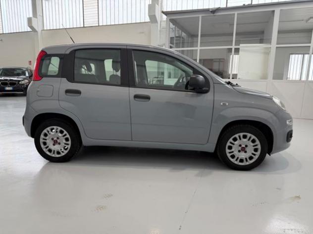 FIAT Panda 1.2 Easy rif. 23689324 - Foto 4