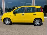 FIAT Panda 1.0 FireFly S&S Hybrid Pandina rif. 22889649