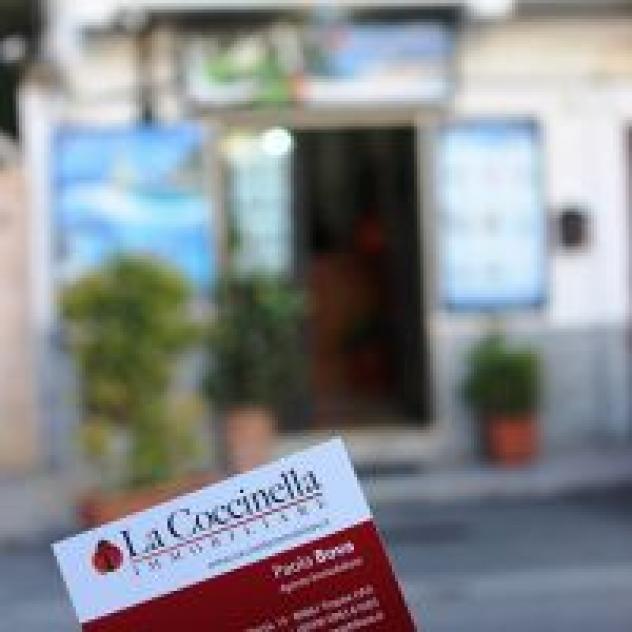 Agenzia Immobiliare La Coccinella Tropea