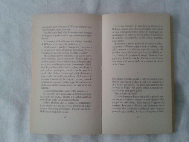 LEGGERI LIBERTINAGGI SABBATICI - Foto 3