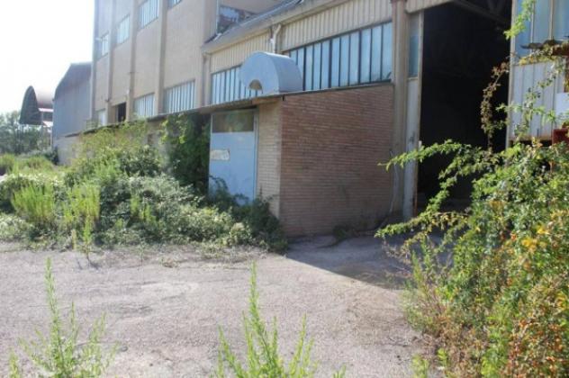 Immobile in asta di 41493 m² in vendita a Asciano - Foto 3