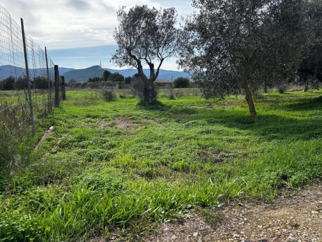 Casa Indipendente - Villamassargia . Rif.: Cod. rif 3189364VRG - Foto 12