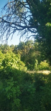 Toscana colonica trifamiliare con terreno - Foto 8