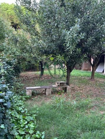 Casa libera su tre lati con giardino - Foto 5