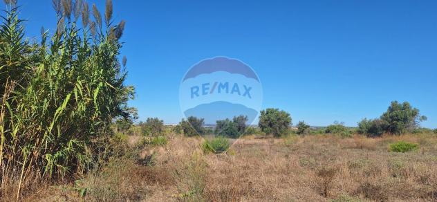 Terreno in vendita a Noto - Foto 4