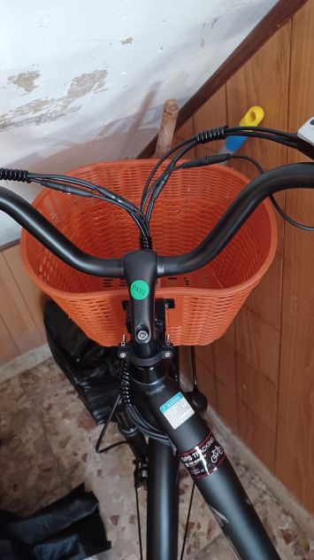 Bicicletta elettrica - Foto 4