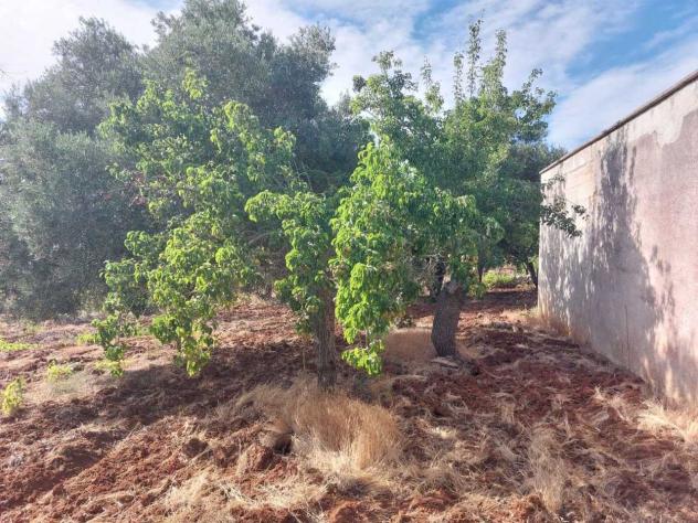 Indipendente in vendita a Ceglie Messapica - Foto 15