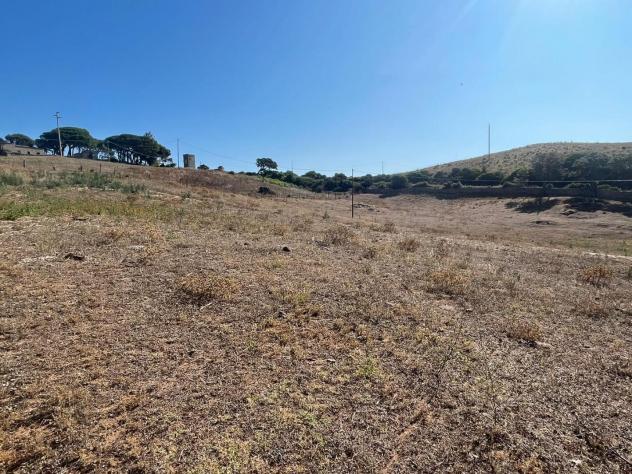 Annesso agricolo in vendita a Luogosanto 22800 mq Rif: 1348054 - Foto 2