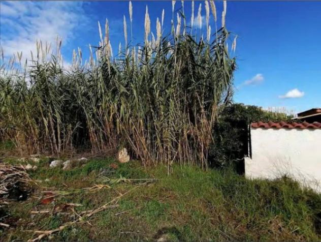 Immobile in asta di 591 m² in vendita a Siracusa - Foto 7