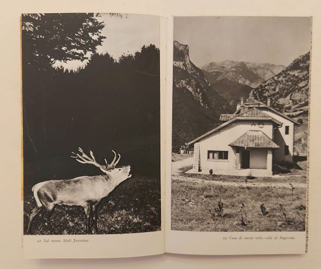 La caccia in Jugoslavia di Bogdan Pesic Ed.Jugoslavija, Beograd 1970? - Foto 7