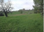 Agricolo in vendita a Caltanissetta