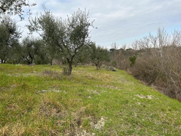 Terreno agricolo in vendita a Corniola - Empoli 20000 mq Rif: 1099670 - Foto 2