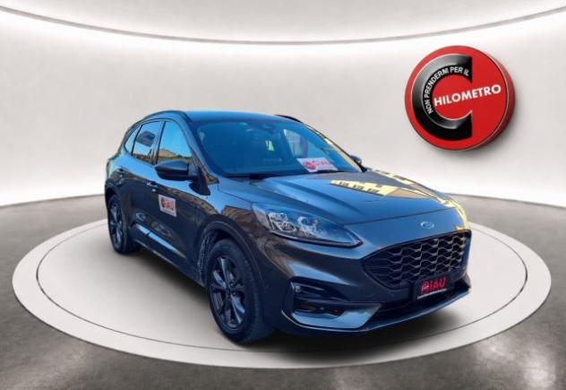 FORD Kuga 1.5 EcoBlue 120 CV 2WD ST-Line rif. 24123180