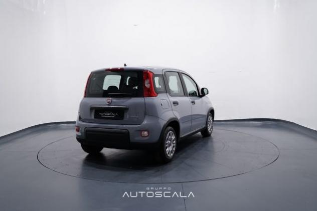 FIAT New Panda 1.0 FireFly S&S Hybrid rif. 23780418 - Foto 6