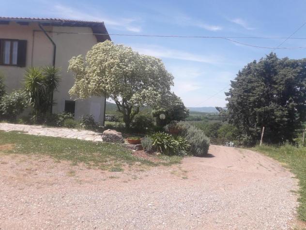 Casale in vendita a Manciano 220 mq Rif: 1212741
