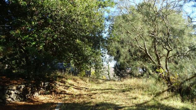 Area verde in vendita a Biancavilla - Foto 12