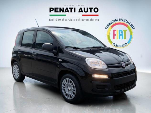 FIAT Pandina 1.0 FireFly 65cv S&S 6m Hybrid Icon