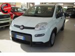 FIAT Panda 1.0 FireFly S&S Hybrid rif. 23630997