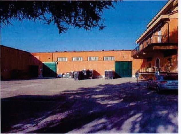 Immobile in asta di 5985 m² in vendita a Bevagna - Foto 4