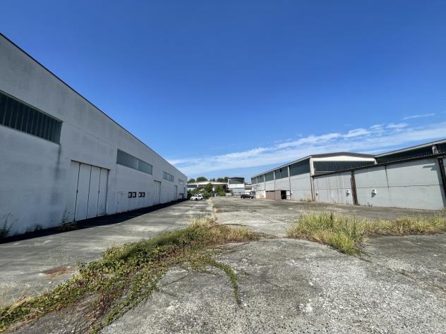 Magazzino in vendita a Pieve Porto Morone - Foto 3