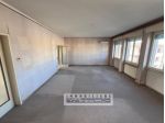 APPARTAMENTO di 8 vani e di 163 mq (VIAREGGIO - Viareggio zona pineta) rif. A884