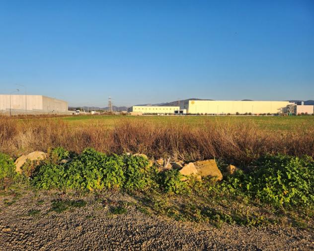 Industriale in vendita a Tarquinia - Foto 16