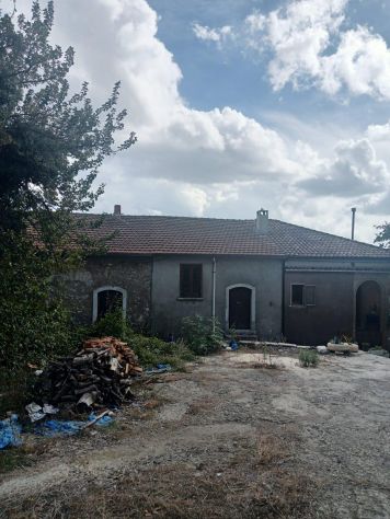 AMPIO TERRENO DI 8.000 MQ CON CASOLARE DA RISTRUTTURARE - Foto 10