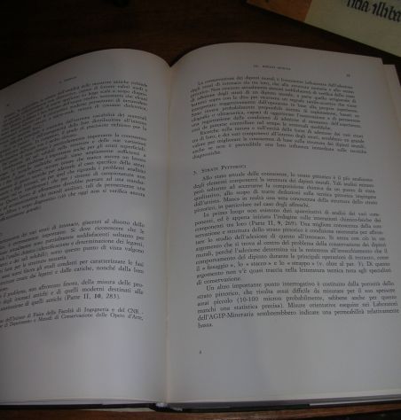 PROBLEMI DI CONSERVAZIONE - Foto 2