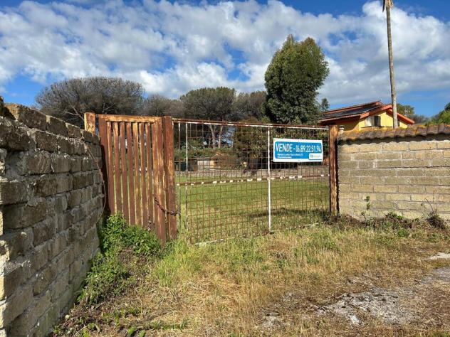 Agricolo in vendita a Aprilia