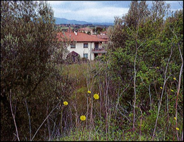Immobile in asta di 1 m² in vendita a Montegabbione - Foto 8