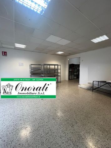 MQ 250 ROMA, ZONA COLLE PRENESTINO, Rif. A-516. - Foto 5